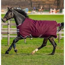 Oudoordeken 0 gr 5.9 175CM