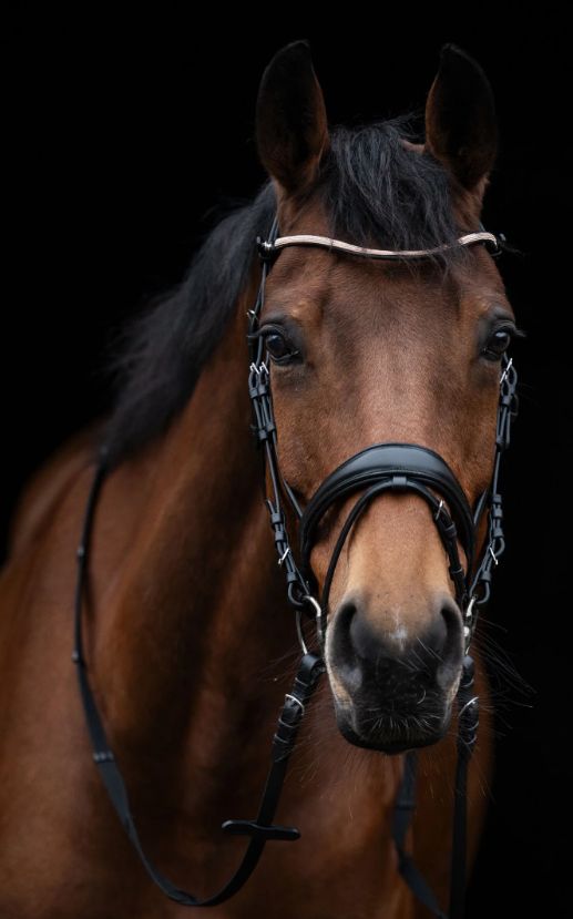 Hoofdstel kopenhagen rosegold