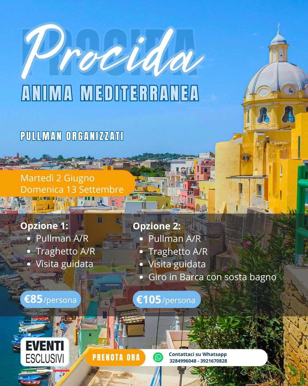 PROCIDA 🏝️☀️ "Martedì 2 Giugno &amp; Domenica 13 Settembre 2026" 🚌 Pullman Organizzati