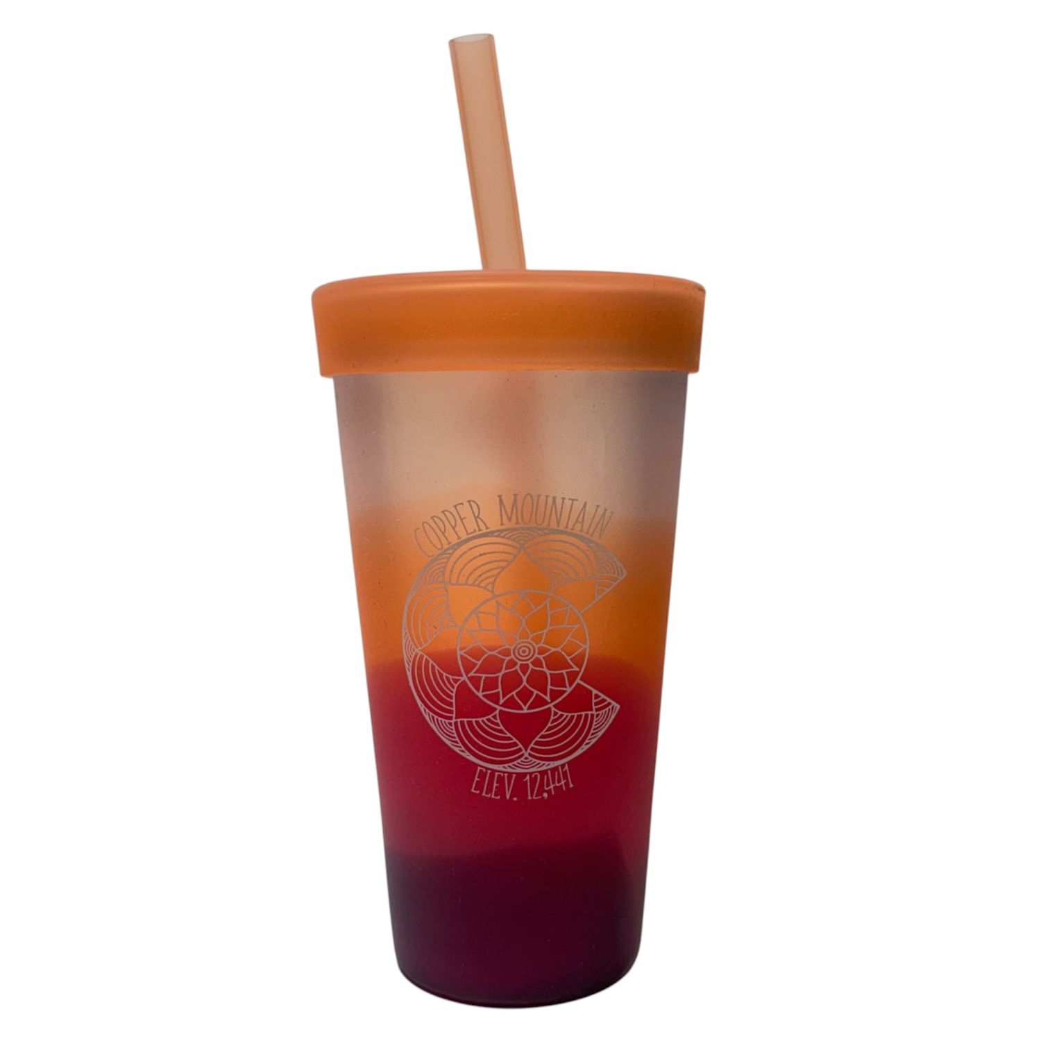 Desert Sun Mandala Straw Tumblr