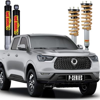 GWM – P Series 2019 On Tough Dog