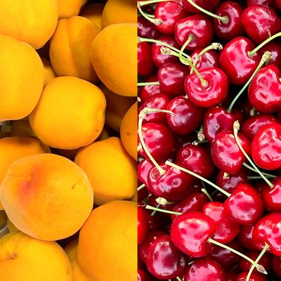 Colorado Sweet Cherries and Apricots - Free Shipping