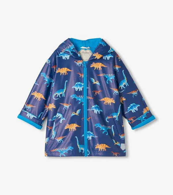 Colorful Dinos Rain Coat