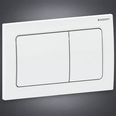 Alpha01 Flush Plate / White