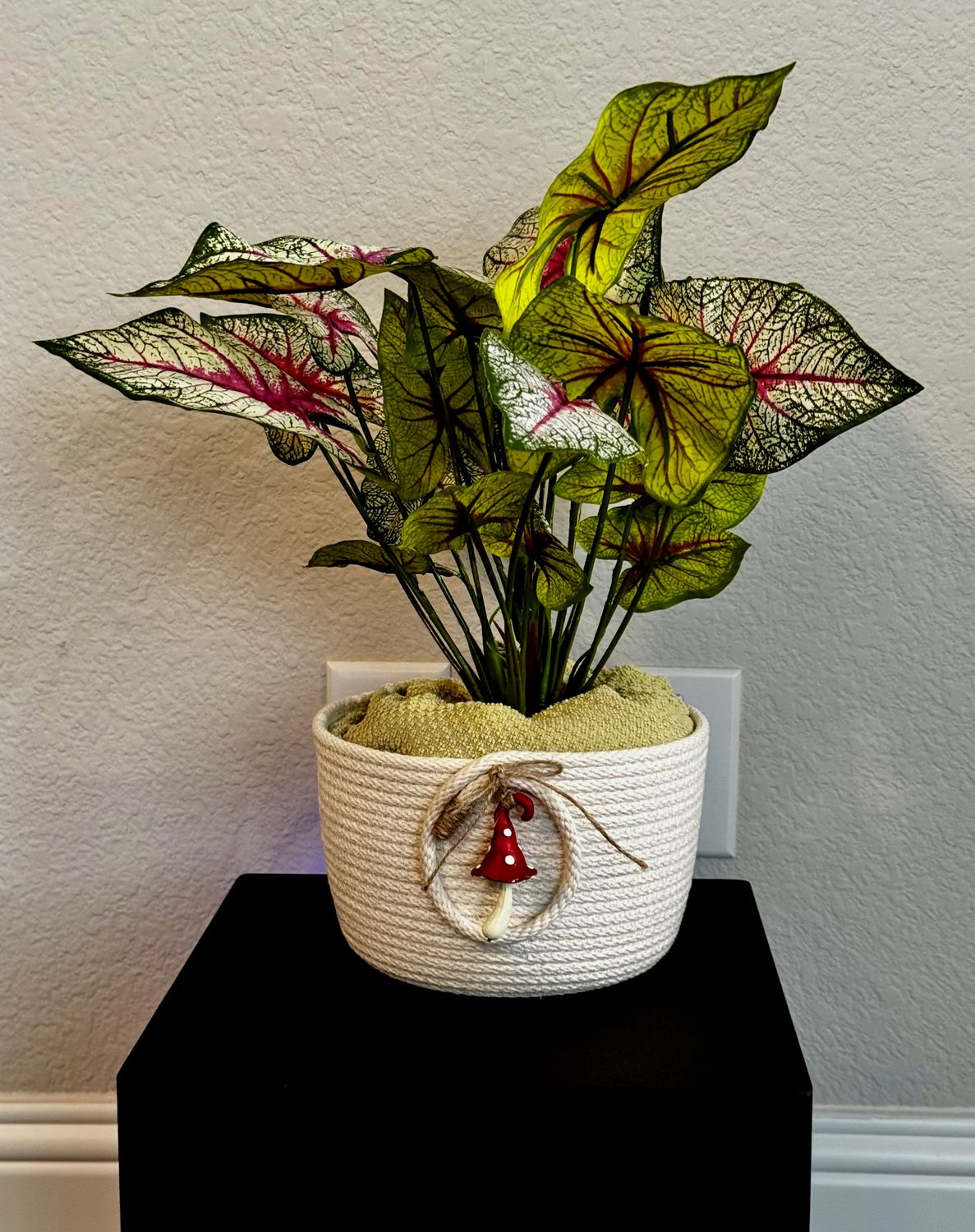 Handmade Mushroom Rope Planter Bowl–Cottage Charm Rope Basket