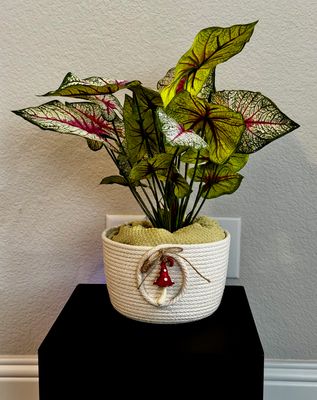 Handmade Mushroom Rope Planter Bowl–Cottage Charm Rope Basket