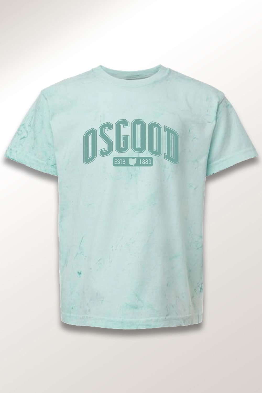 Colorblast  -Short Sleeve Tee - OSFEST, Color: Sea Glass, Size: YOUTH SMALL