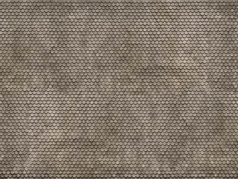 Noch 56691 - 3D-Kartonplatte  “Biberschwanz”