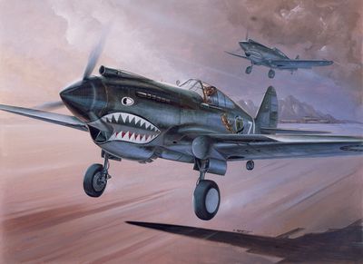 Academy 12280 - P-40C "Flying Tigers" 1:48