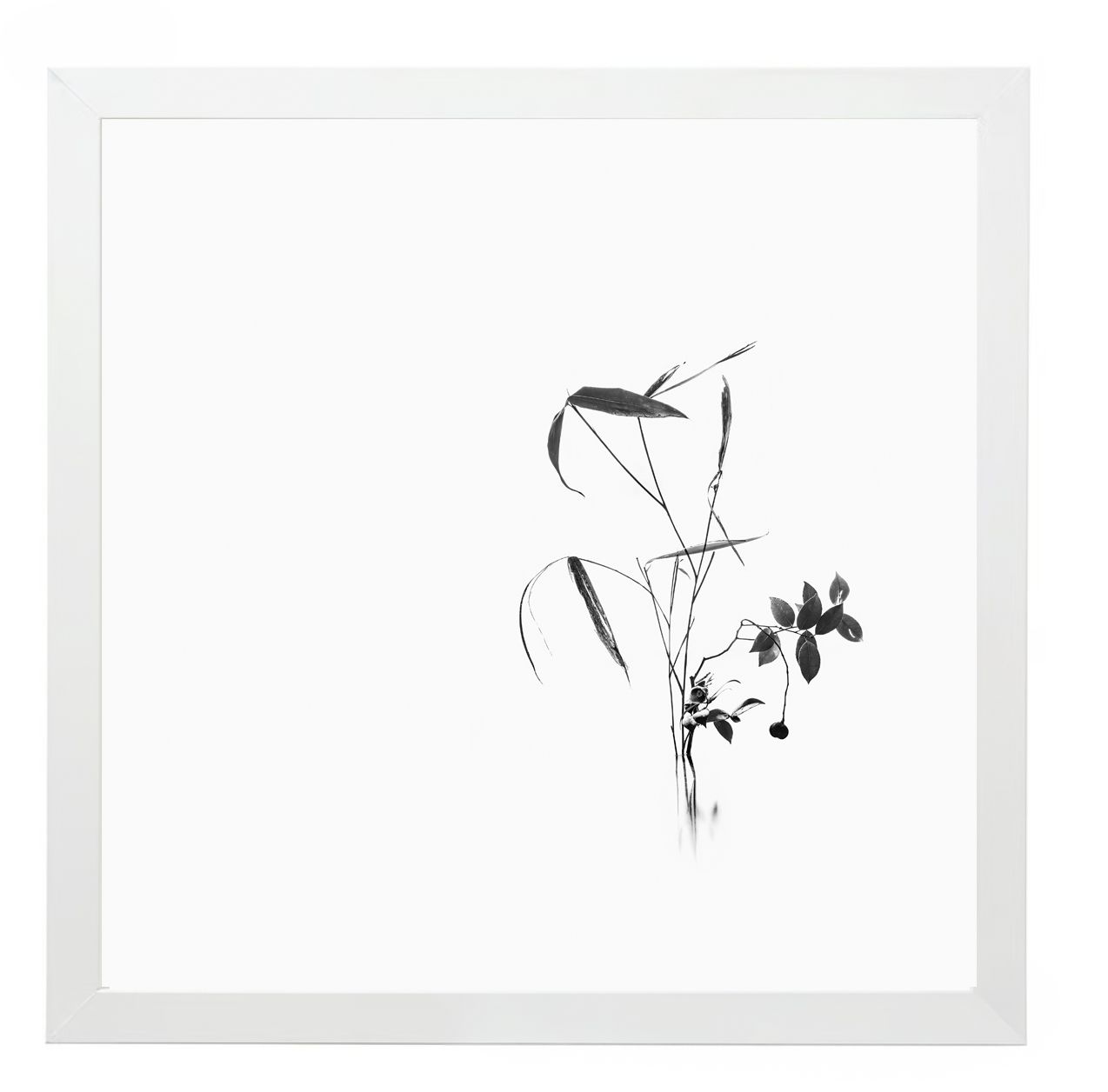 17 Syllables – Echoes of Stillness #19, 2025 / Framed, 25 × 25 cm