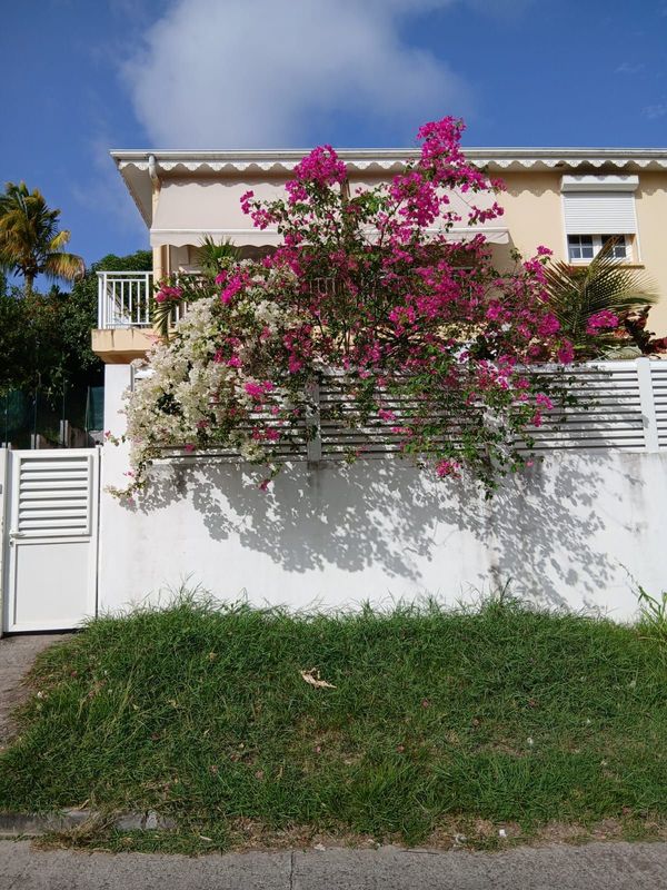 Villa Indépendante F4 Meublée – Le Marin (Quartier Mondésir) Villa Indépendante F4 Meublée – Le Marin (Quartier Mondésir)