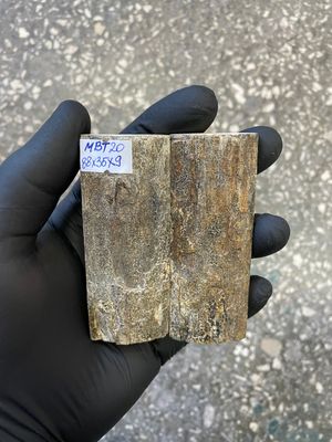 mammoth bark tusk pair scales MBT20