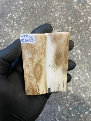 mammoth bark tusk pair scales MBT32