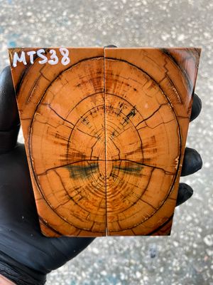 Mammoth tusk knife scales 4.92-1.81-0.39 inch MTS38