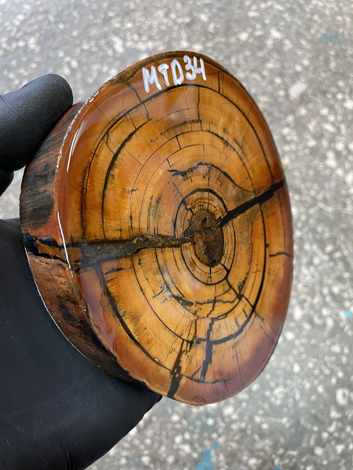 Mammoth tusk disk cross cut MTD34