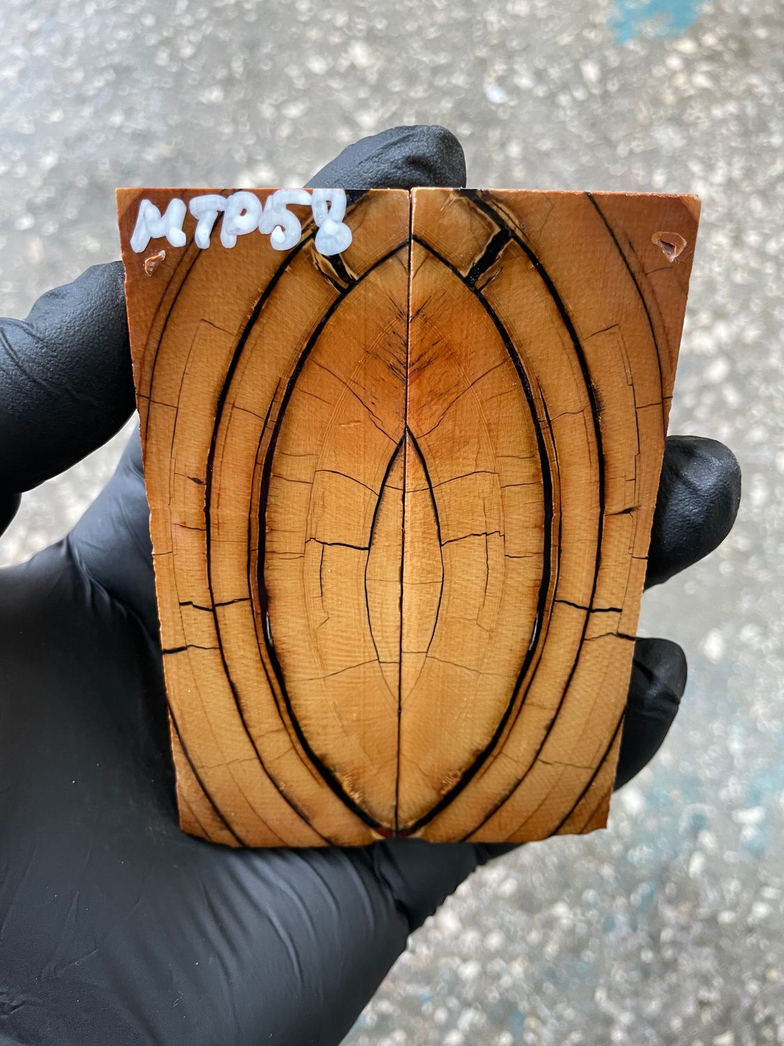 Mammoth tusk scales 3.77-1.37-0.27 inch MTP58