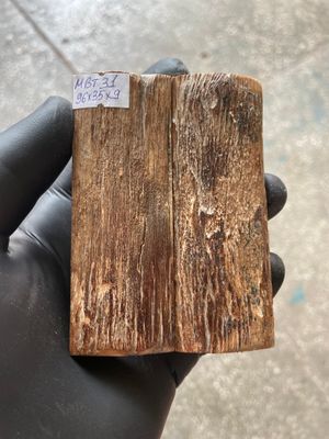 Mammoth Bark Tusk Knife Scales Fossil Pair 3.77×1.37×0.35 inch​​ MBT31