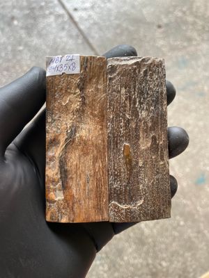 Mammoth Bark Tusk Knife Scales Fossil Pair 3.7×1.37×0.31 inch​​ MBT27