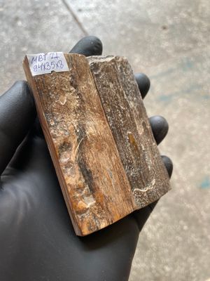 Mammoth Bark Tusk Knife Scales Fossil Pair 3.7×1.37×0.31 inch​​ MBT27