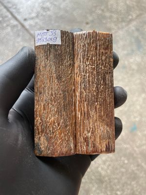 Mammoth Bark Tusk Knife Scales Fossil Pair 3.58×1.25×0.27 inch​​ MBT33