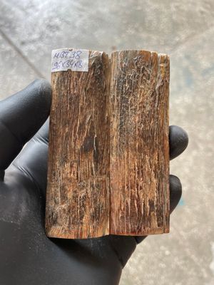 Mammoth Bark Tusk Knife Scales Fossil Pair 3.77×1.33×0.31 inch​​ MBT38
