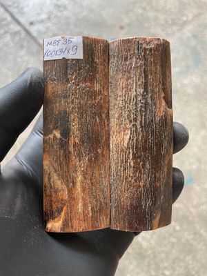 Mammoth Bark Tusk Knife Scales Fossil Pair 3.93×1.33×0.35 inch​​ MBT35