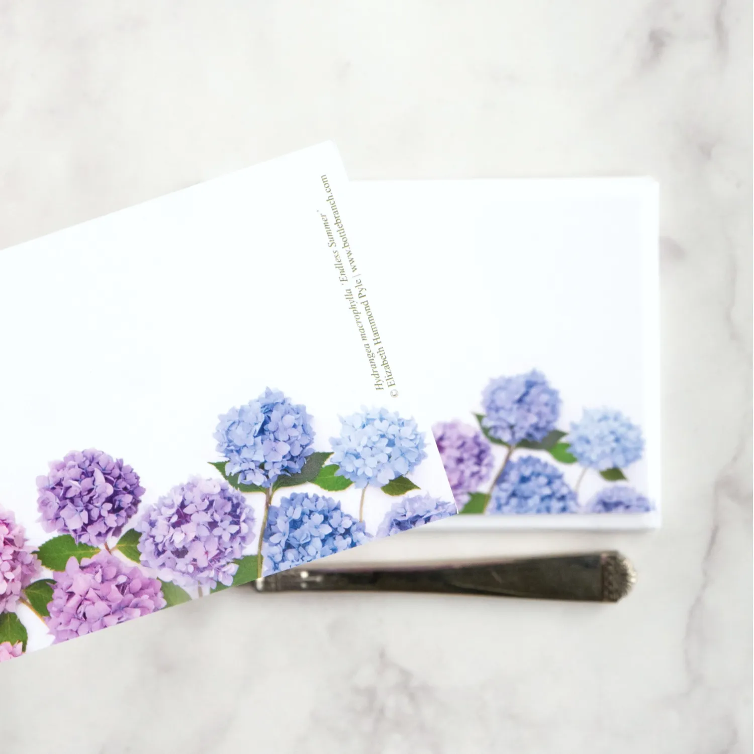 Hydrangea Flat Cards (pack of 8)