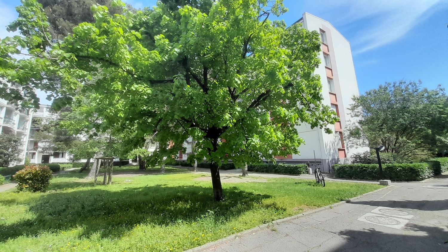 Grand F2 Montpellier Estanove