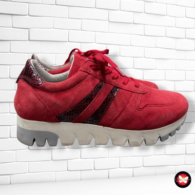 **HOY** Zapatillas de ante TAMARIS color Rojo Talla Calzado 38