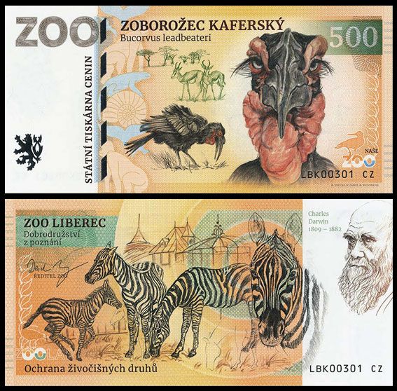 500 - Dzioborożec kafryjski - ZOO Liberec (2026)