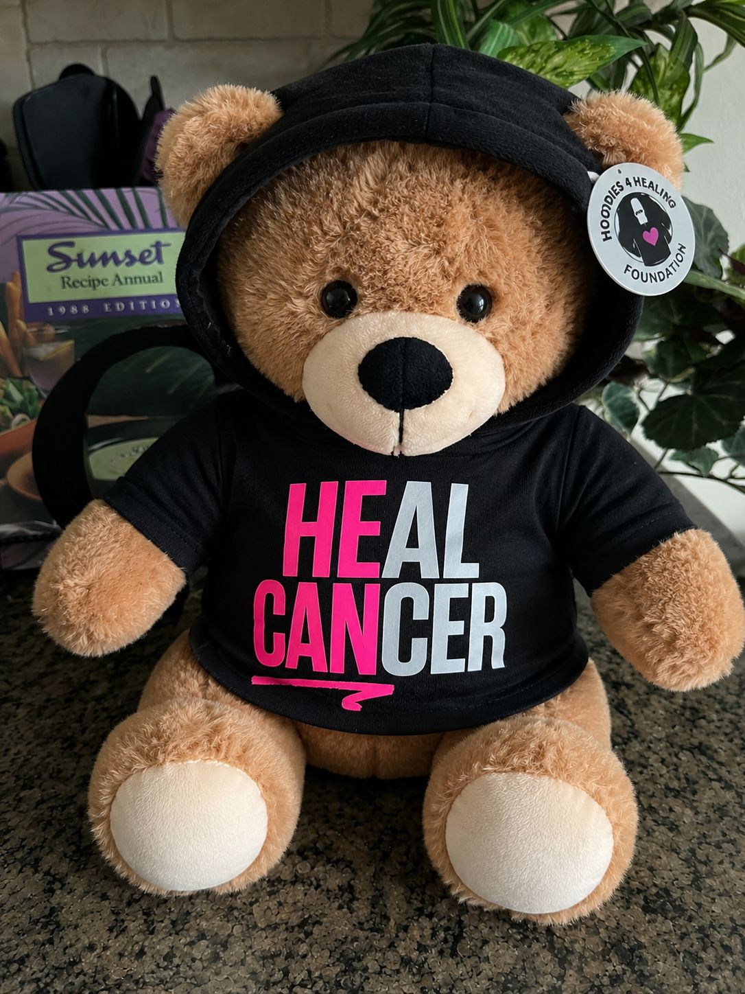 Heal Cancer Bear