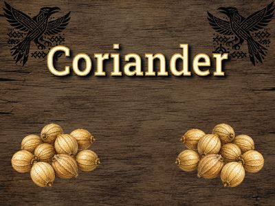 Coriander