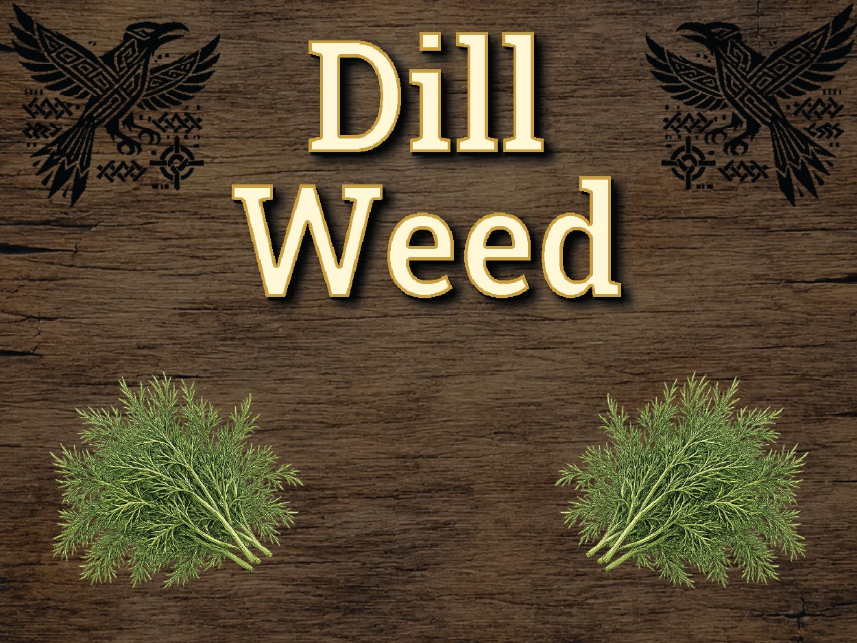 Dill Weed