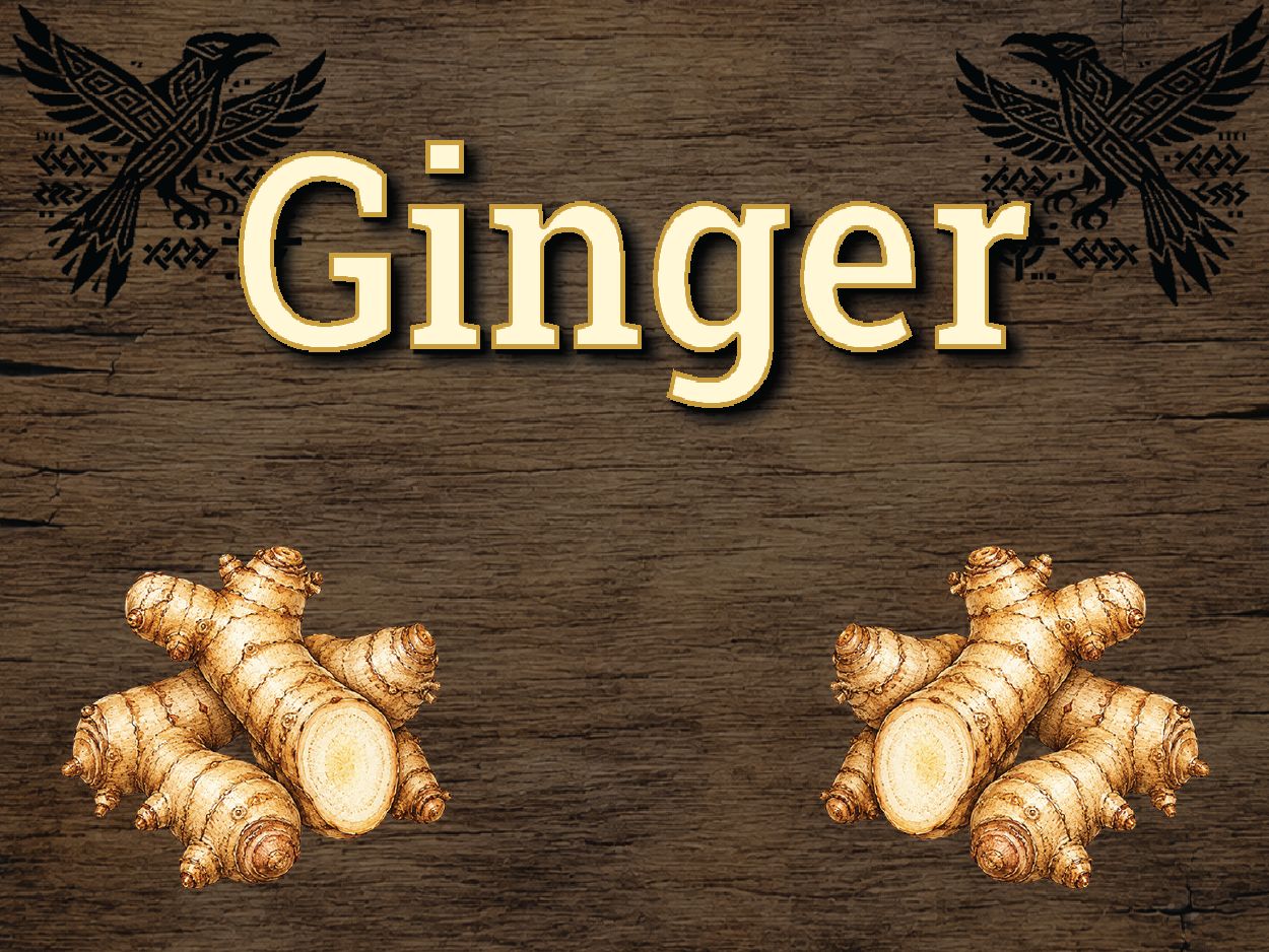 Ginger