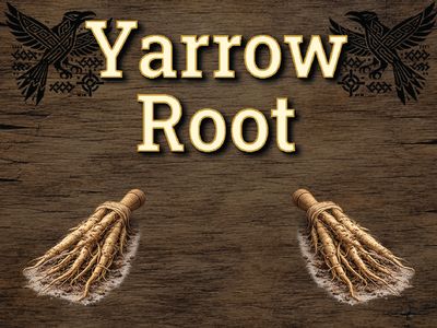 Yarrow Root