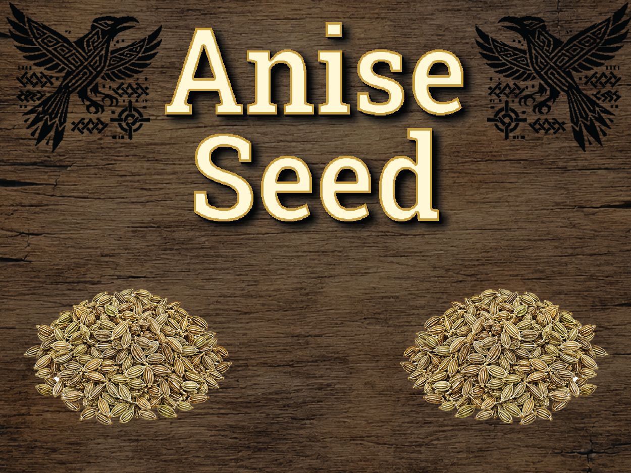 Anise Seed