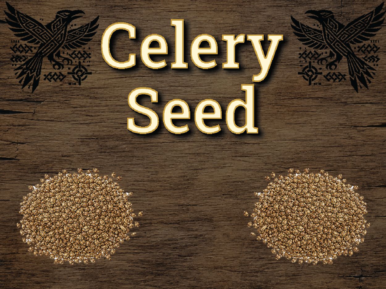 Celery Seed