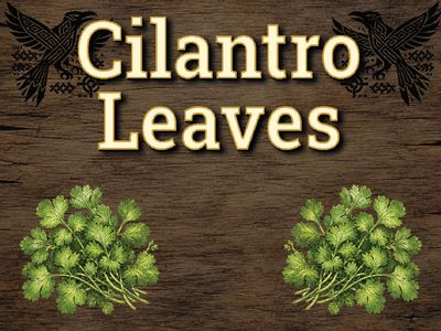 Cilantro Leaves