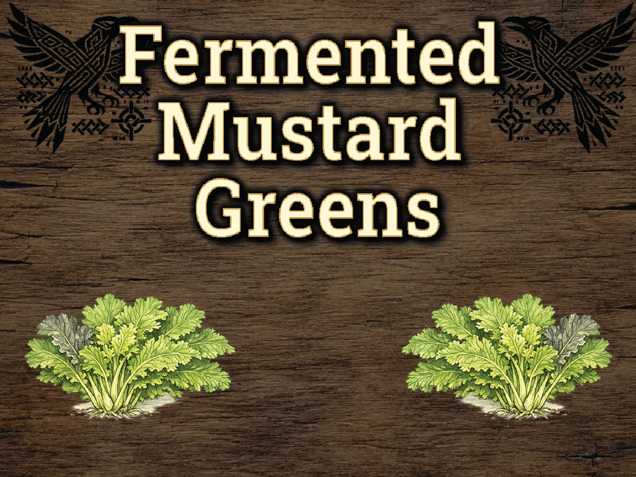 Fermented Mustard Greens