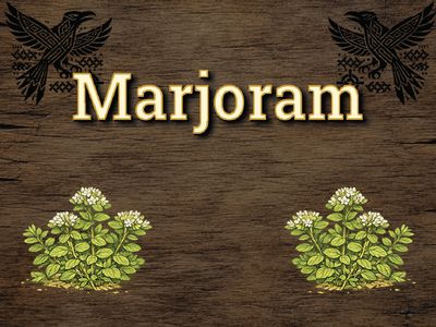 Marjoram