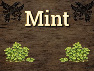Mint