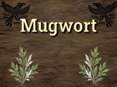 Mugwort