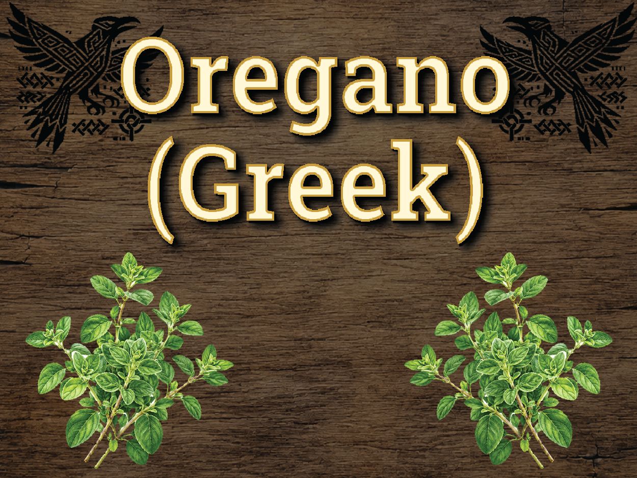 Oregano (Greek)