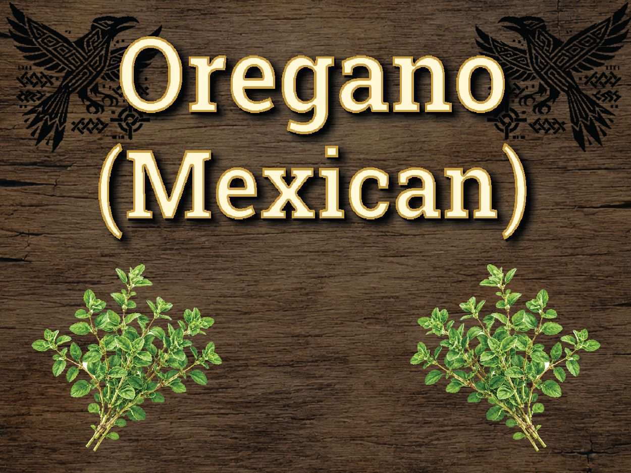 Oregano (Mexican)
