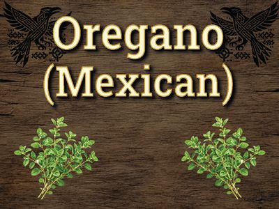 Oregano (Mexican)