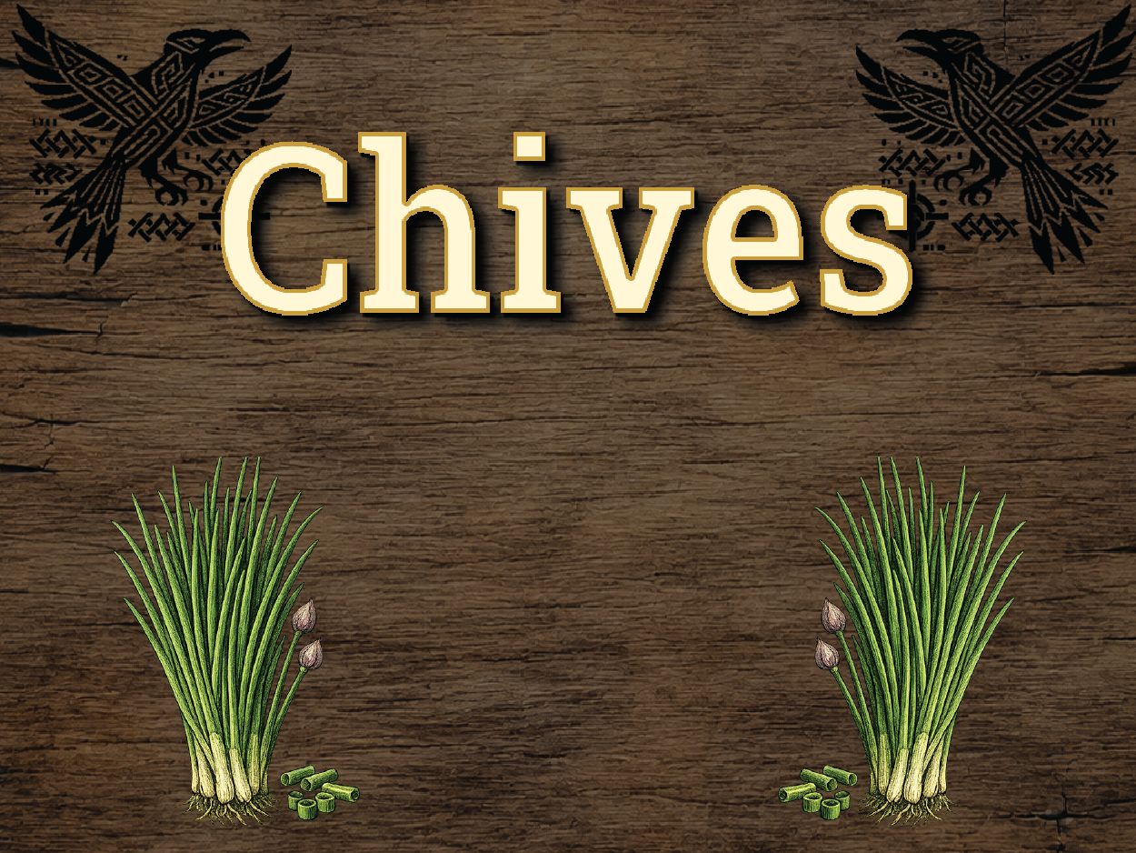 Chives