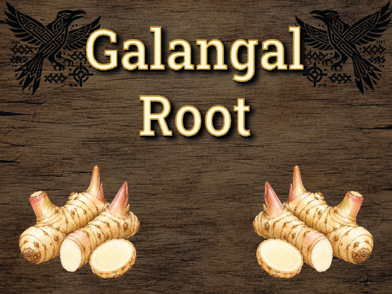 Galangal Root