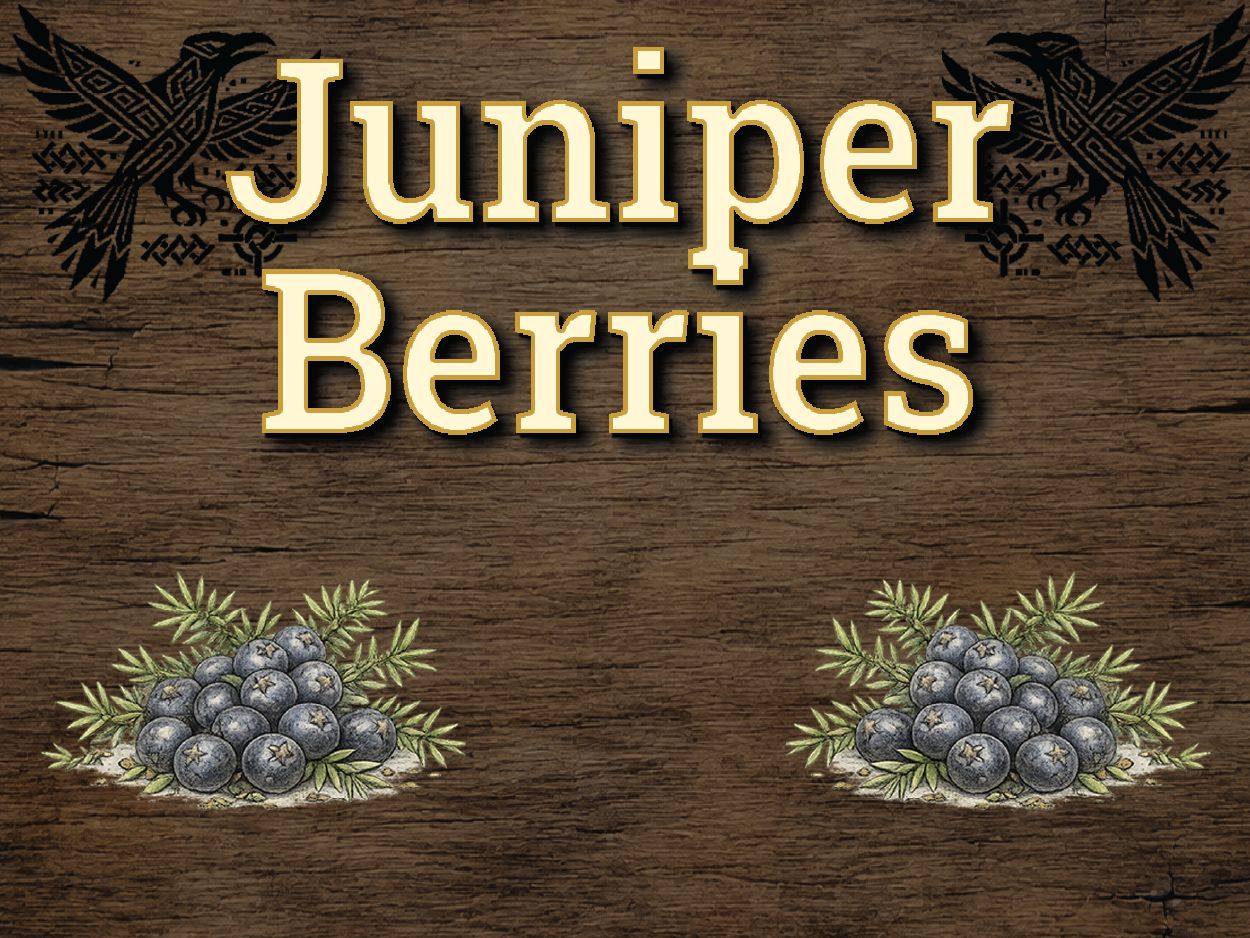 Juniper Berries