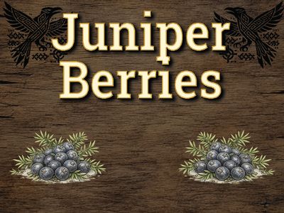Juniper Berries