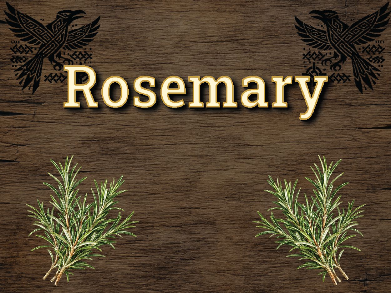 Rosemary